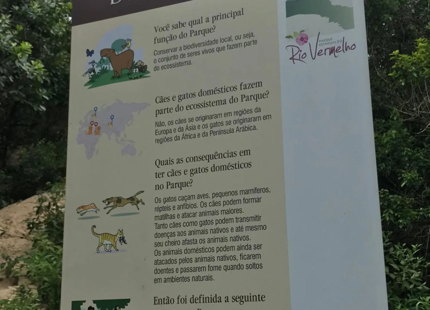 Campsite Camping Refugio Shakti II Florianopolis